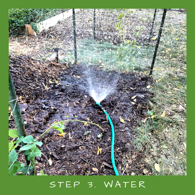 A sprinkler watering the prepared ground, ready to be sheet mulched