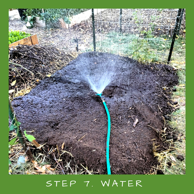 A sprinkler watering the first couple layers of a sheet mulched garden bed